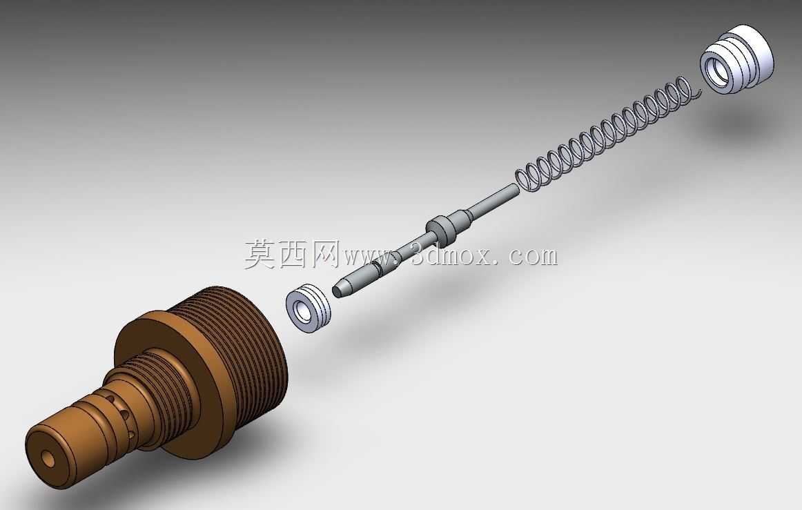 第44段完全瓣膜