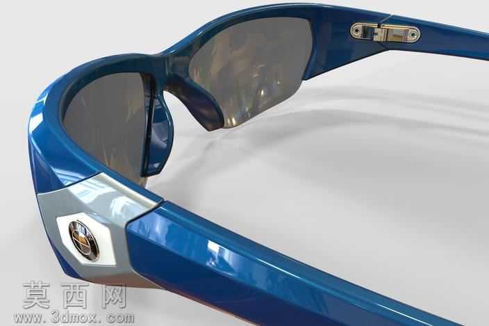 BMW_Sunglasses
