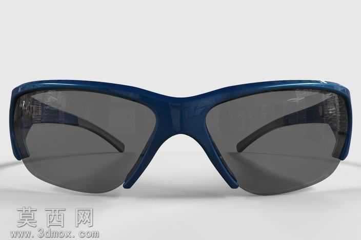 BMW_Sunglasses
