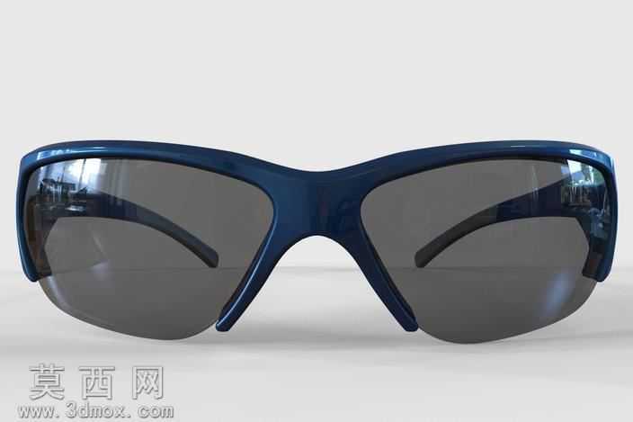 BMW_Sunglasses
