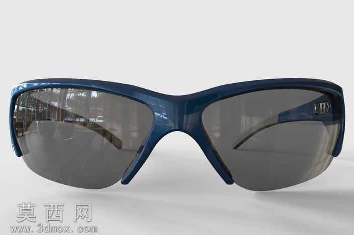 BMW_Sunglasses
