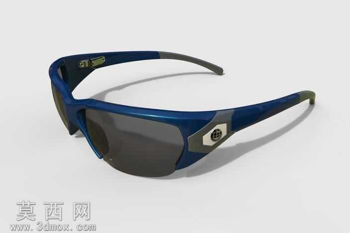BMW_Sunglasses
