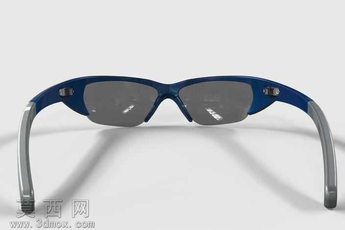 BMW_Sunglasses
