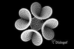��Gackstatter�¶���ƿ-��ѧ������@Dizingof#3dprinting
