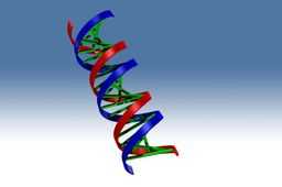 DNA����Simplified.ic