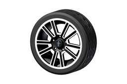 ����Ұ��Rim