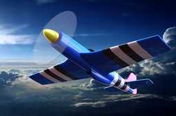 P51Ұ��