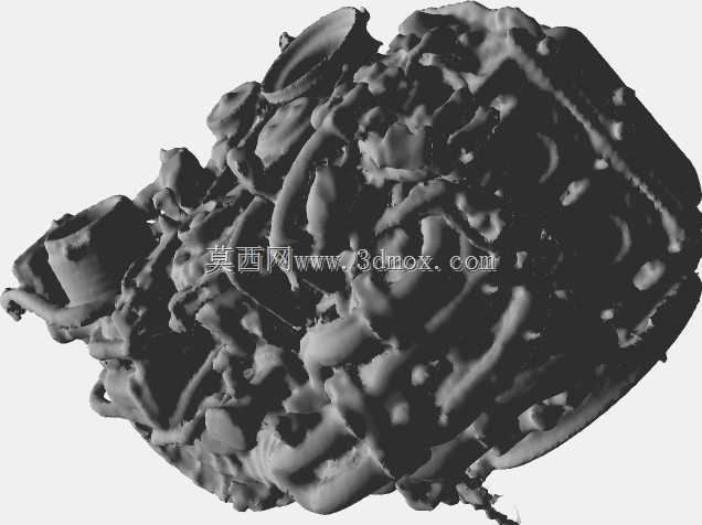 ���Դ�13B Renesis