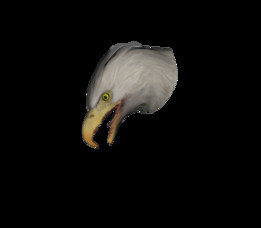 ӥͷ