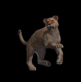 ʨ