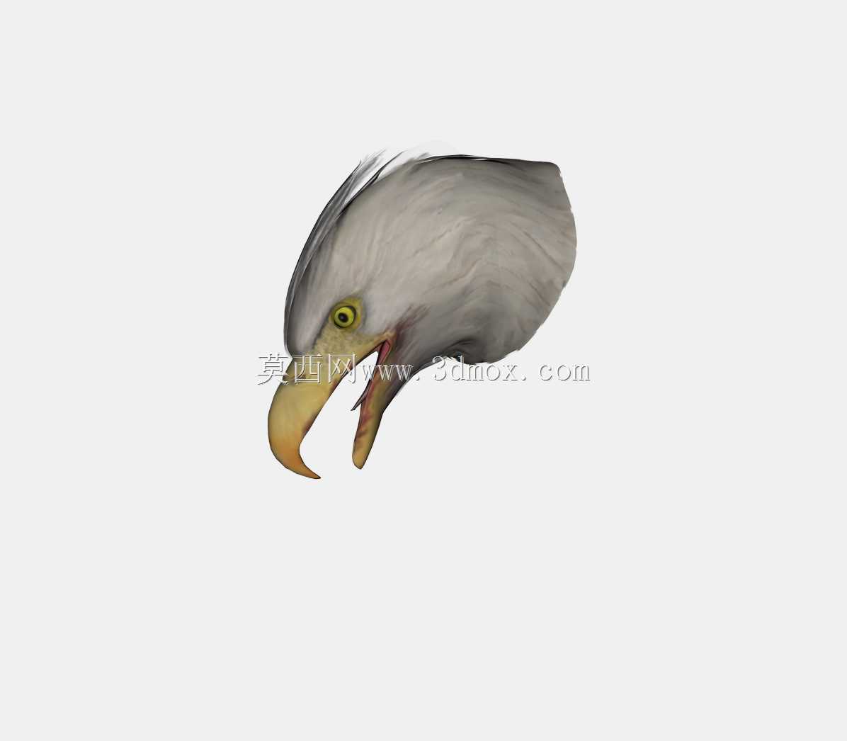 ӥͷ