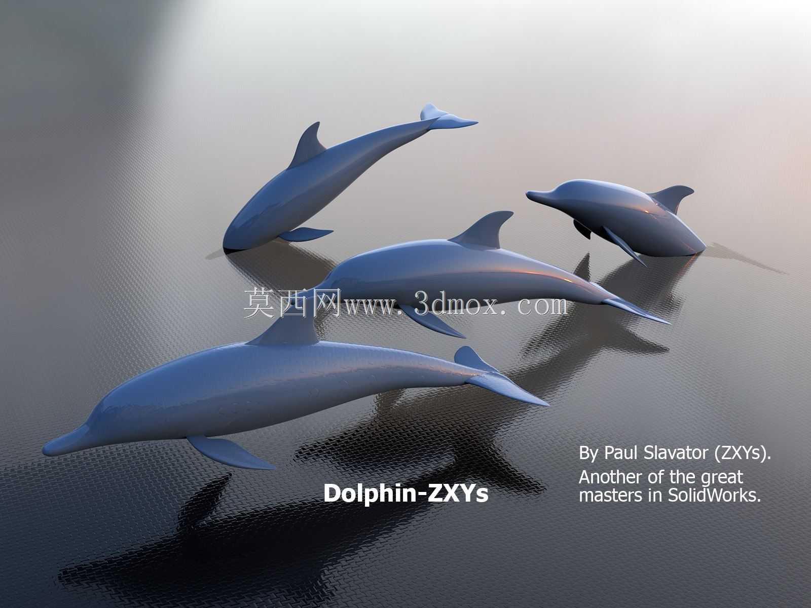海豚ZXYs。保罗·萨尔瓦托是一位大师