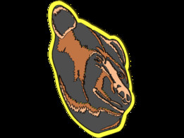 ��ʿ��Bruins Alt�ձ�