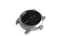Fastrack Watch_S_3021