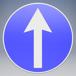 ��401��ǿ�Ʊ�־