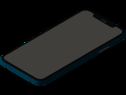iPhoneX