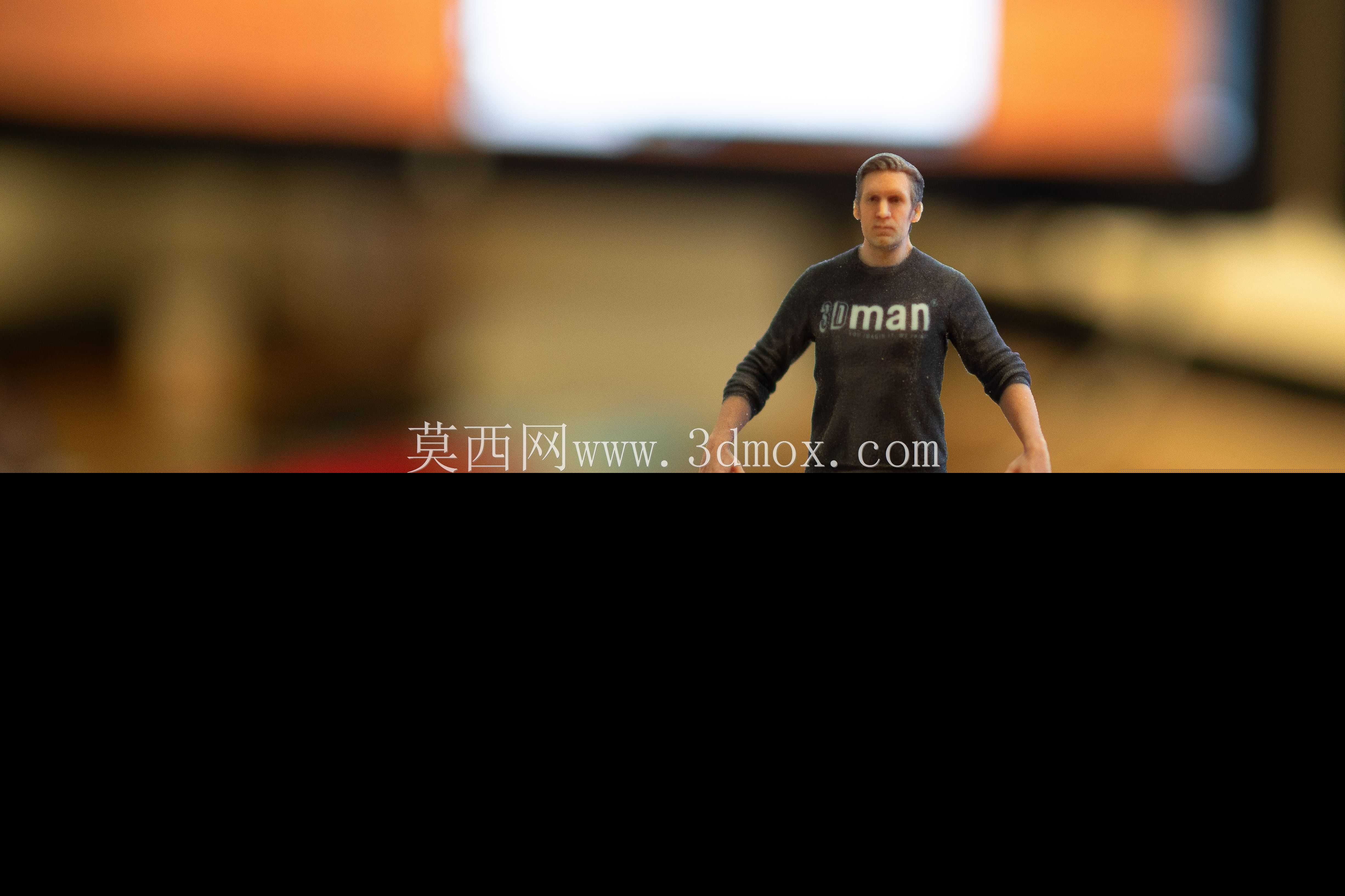 3D印刷雕塑