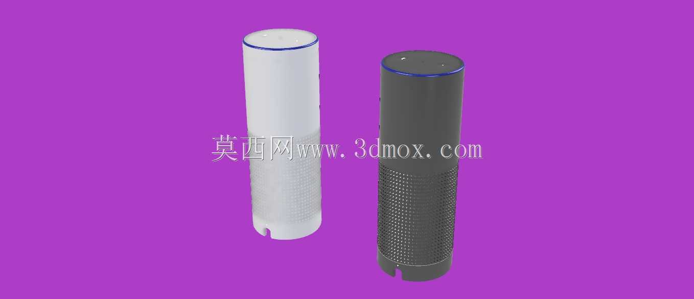 亚马逊回声点