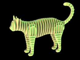 Cat�׼�