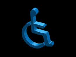 ��Ч��־