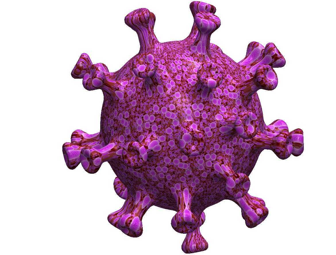 3d��ӡ��״������2019 nCoV��COVID-2019��