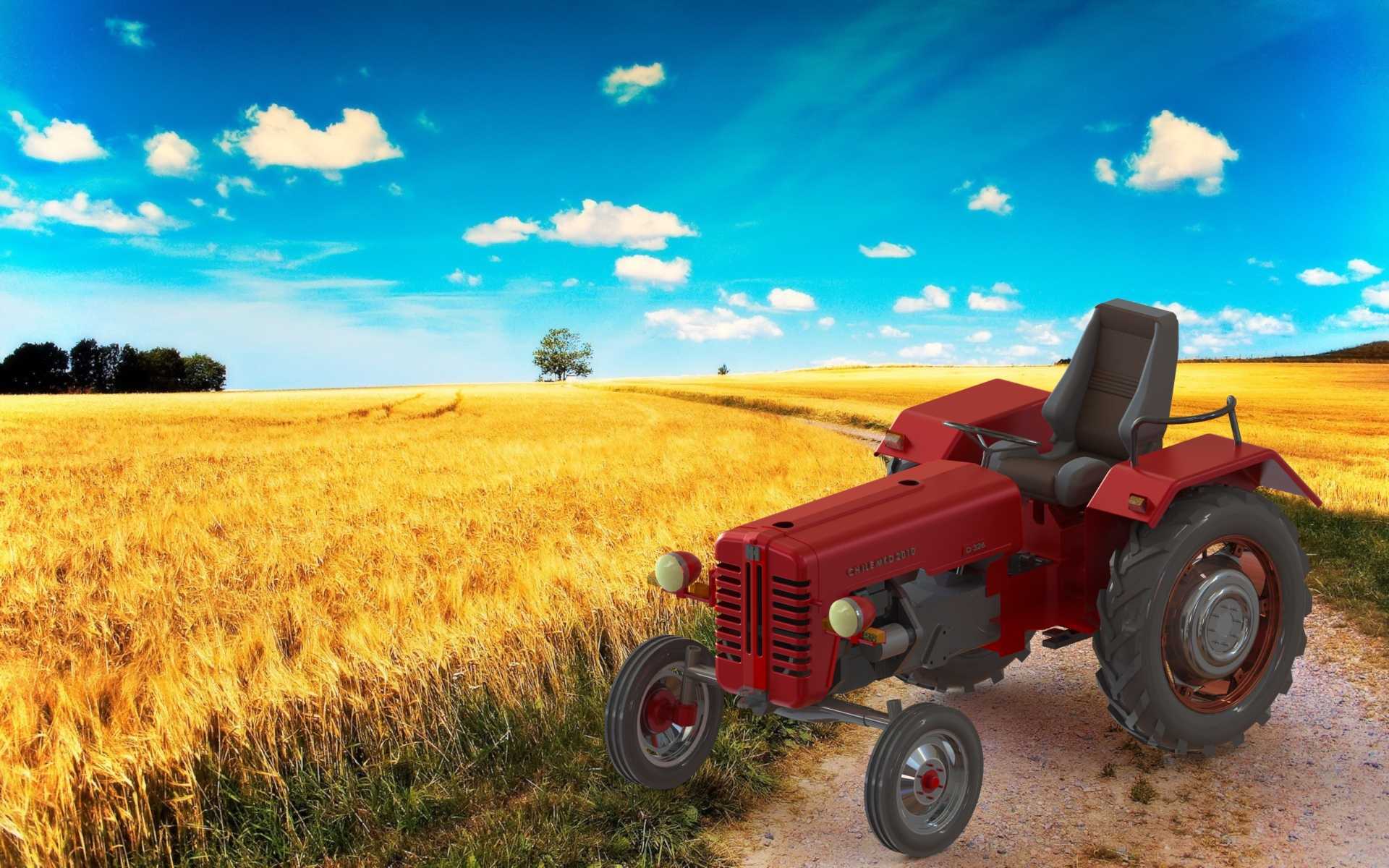 ��������2010