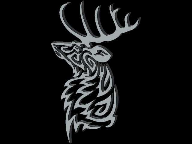 CERF������