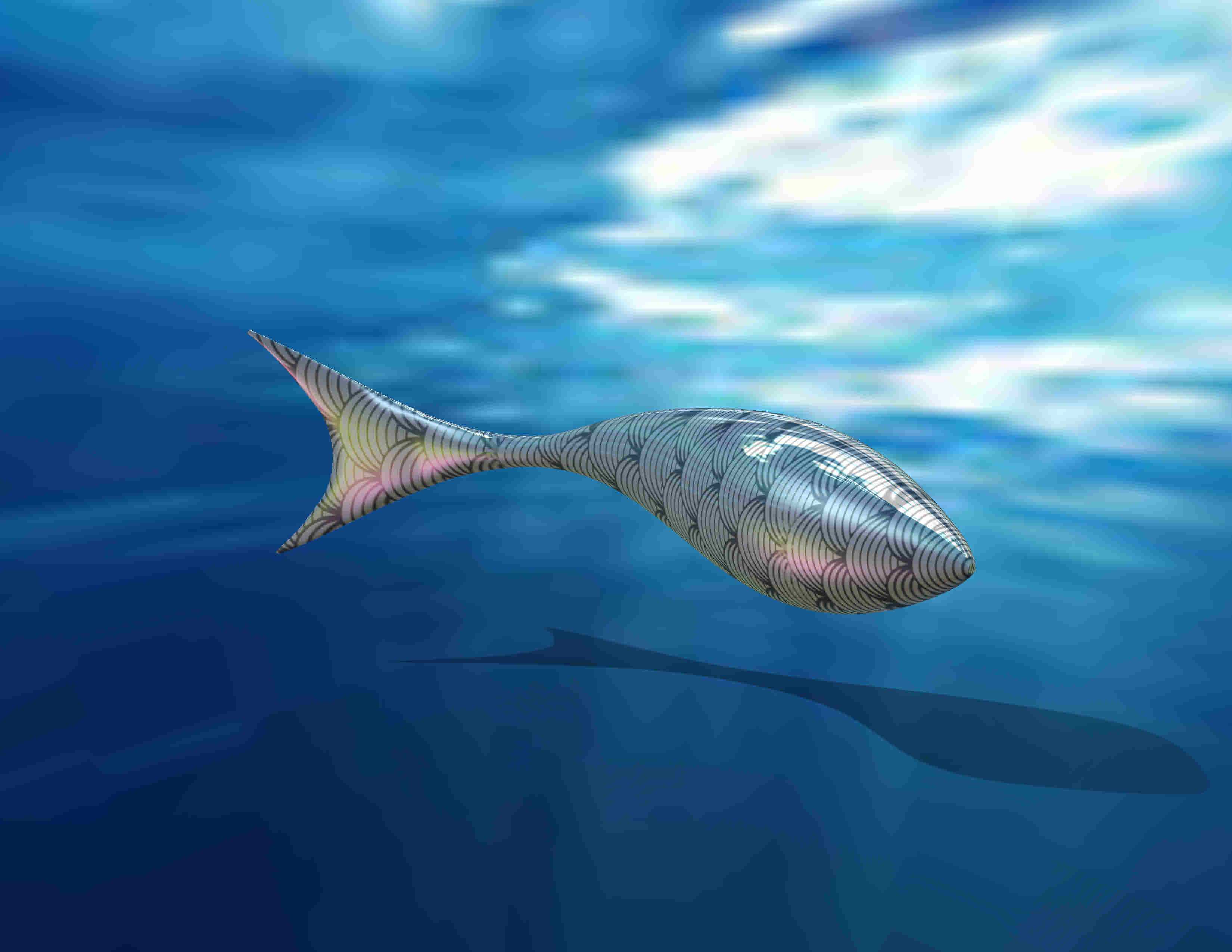 Poisson du 2��ޱ��