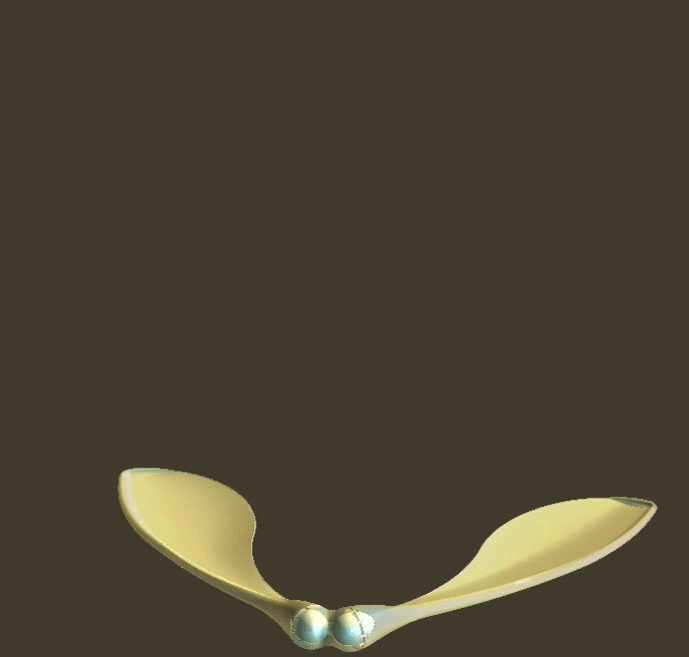 枫树