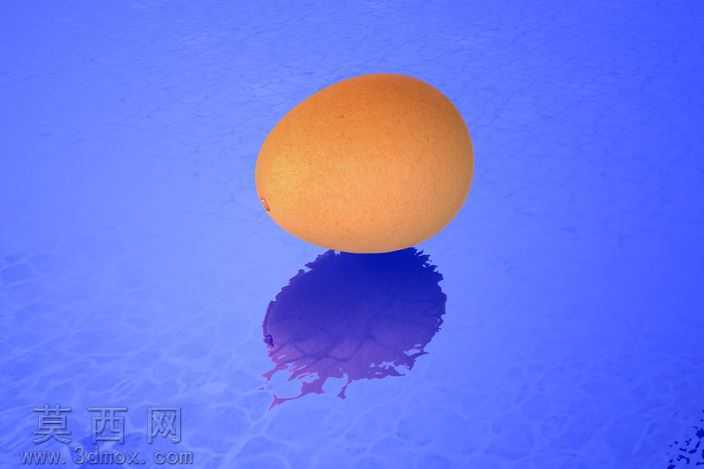 蛋