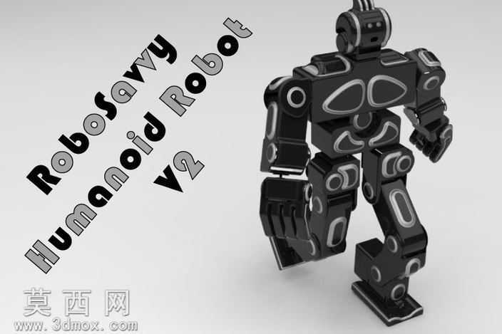 RoboSavvyHumanoidRobotV2