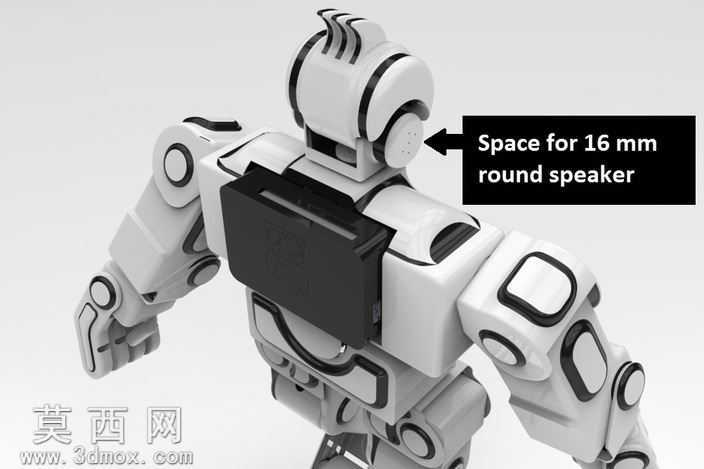 RoboSavvyHumanoidRobotV2