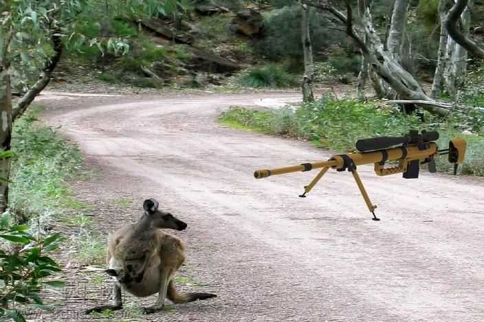 Cheytac��Ԥս��.5calѹ��
