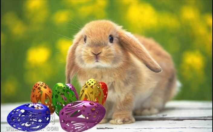 ����Ϊ����ڵĵ�

