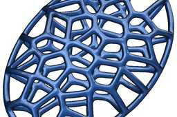 ����Voronoi��׹