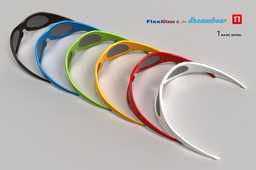 FLEXIGLASS_BASIC模型