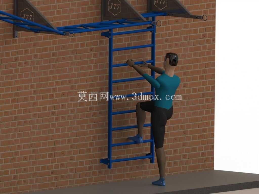 ����˹������֧��ϵͳ