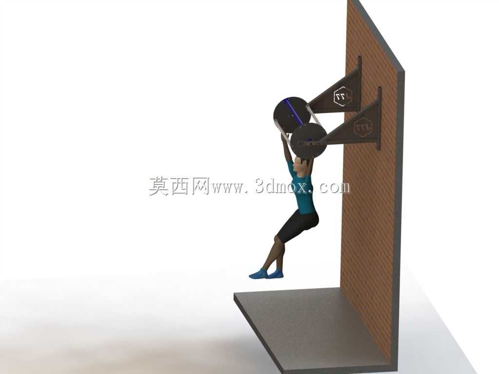 ����˹������֧��ϵͳ