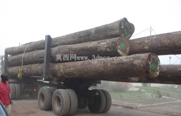阿斯特拉卡车用原木拖车,格鲁米尔,原木卡车