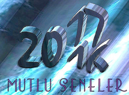 2017���������