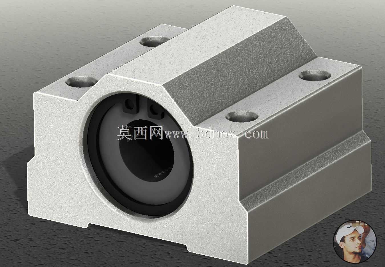 用于CNC和3D打印机的直径为10mm杆的SCS10线性轴承导轨