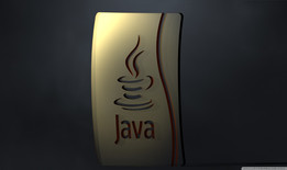 JAVA�ձ�