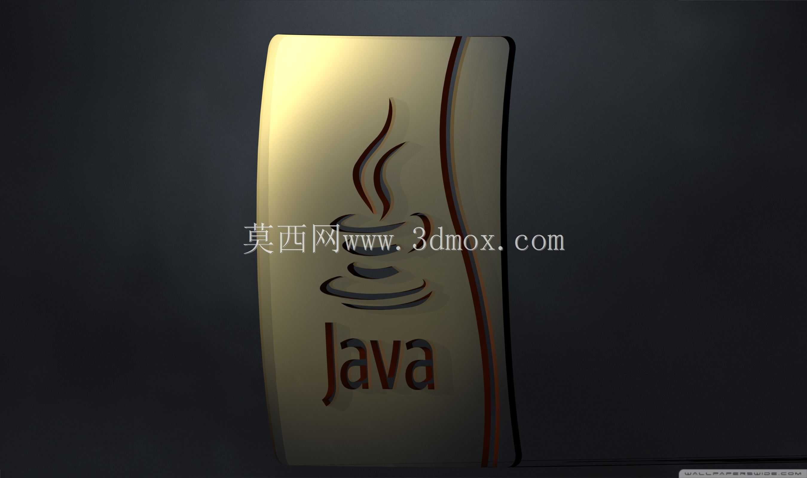 JAVA�ձ�