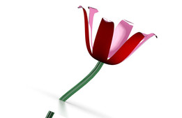 flowe_ģ��