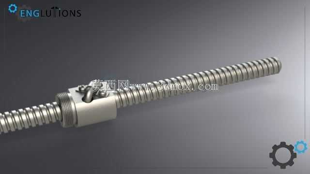 ����˿��