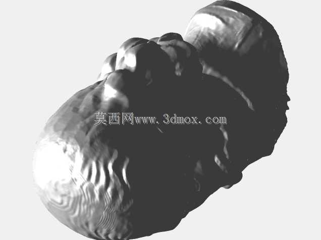 三维扫描胸像