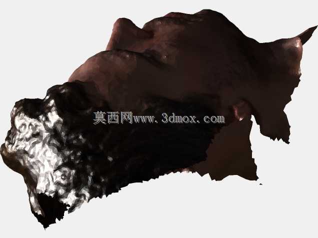 米歇尔佛罗伦萨老扫描