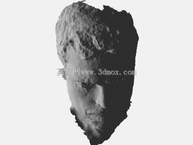 米歇尔佛罗伦萨老扫描