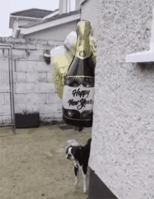 ��ѹ��־