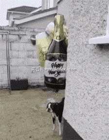 ��ѹ��־